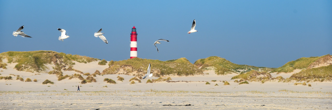 Das Bild zeigt einen Leuchtturm auf Amrum. 